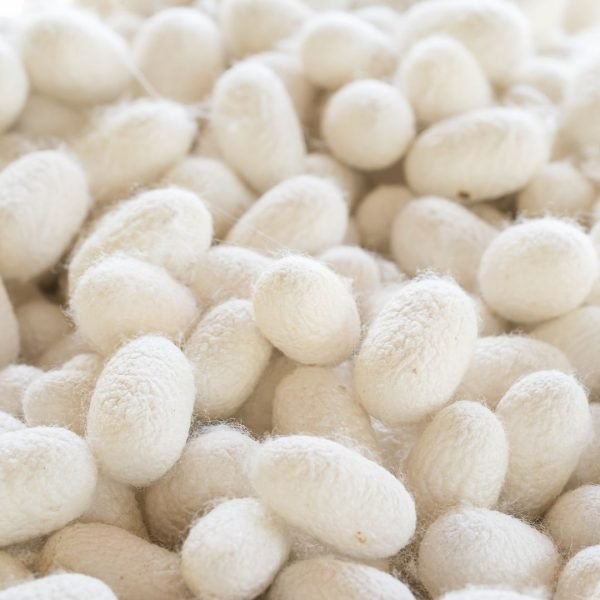 Mulberry Silk Guide 101 Silk Origin, Properties, Benefit & Care